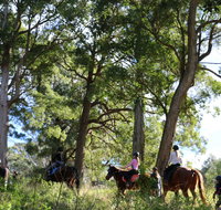The Outlook Riding Academy - Surfers Gold Coast