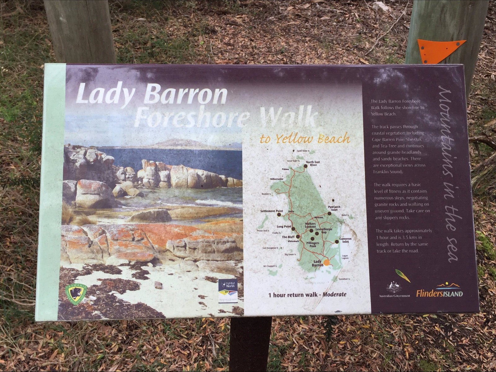 Lady Barron TAS Surfers Gold Coast