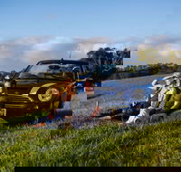 Tourist Drive 28 - Hinterland - Surfers Gold Coast