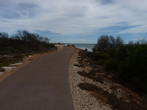 Turquoise Way Trail, Jurien Bay - Surfers Gold Coast 0