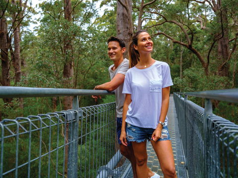Valley Of The Giants Tree Top Walk - Surfers Gold Coast 0
