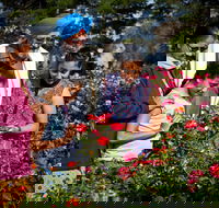 Victoria State Rose Garden at Werribee Park - Surfers Gold Coast