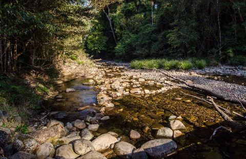 Wilson River Picnic Area - Surfers Gold Coast 0