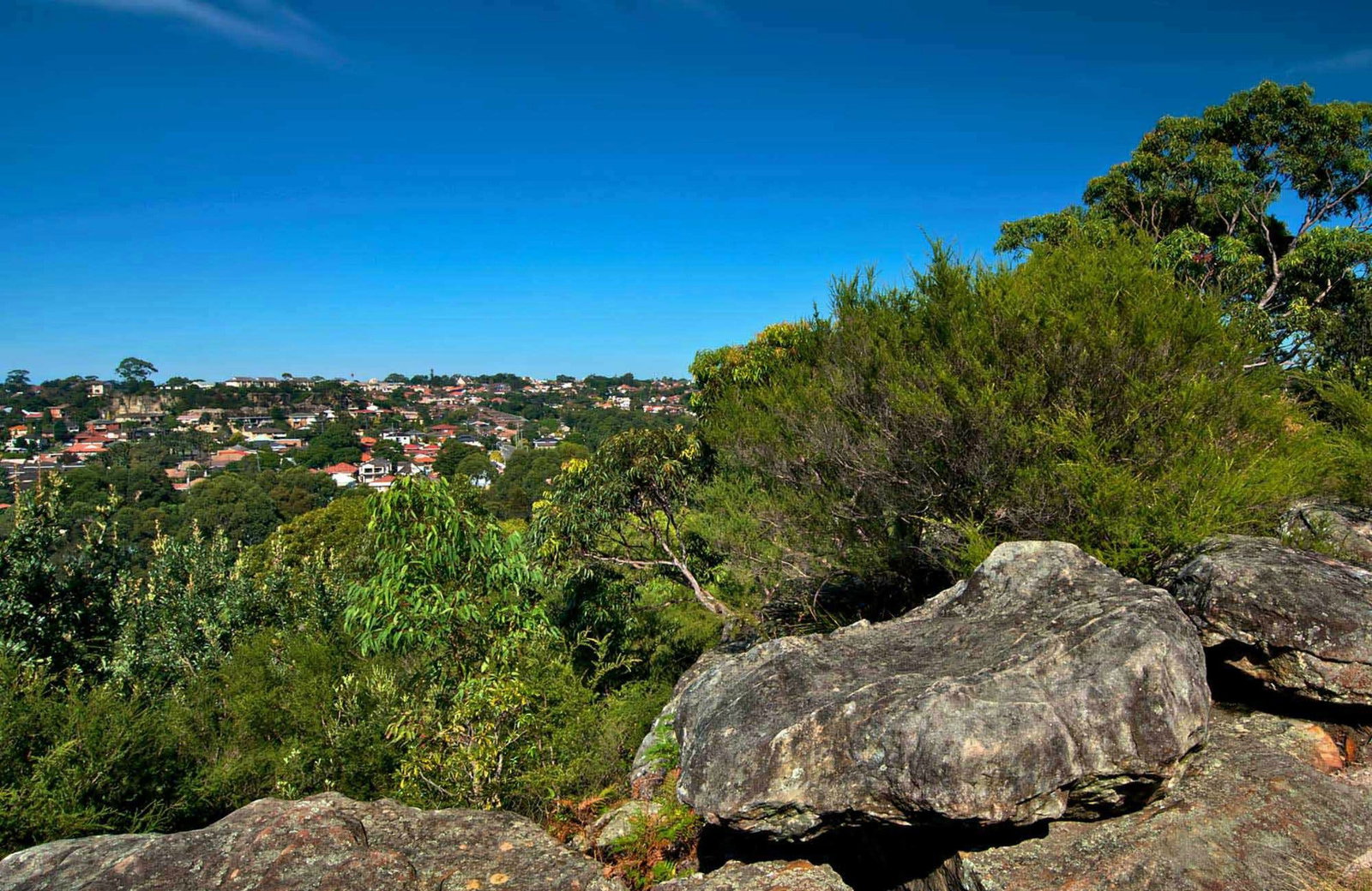 Earlwood NSW Surfers Gold Coast
