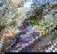 Yea Wetlands Walk - Surfers Gold Coast