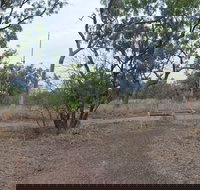 Alexander Forest Memorial - Surfers Gold Coast