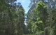Alfred National Park - thumb 1