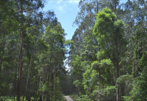 Alfred National Park - Surfers Gold Coast 1