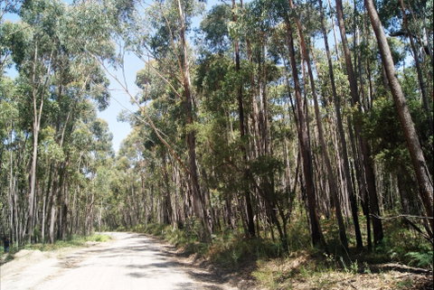 Alfred National Park - Surfers Gold Coast 2