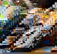 Anchor Chief - Surfers Gold Coast