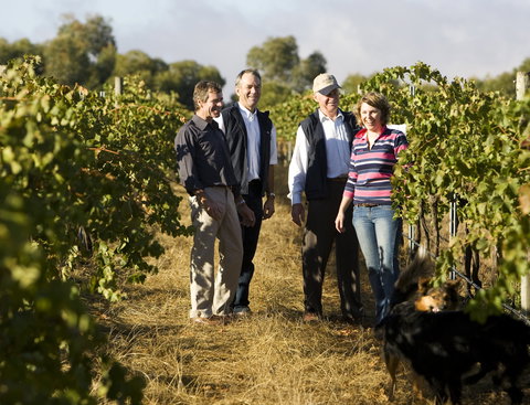 Ararat - Surfers Gold Coast 1