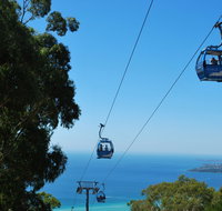 Arthurs Seat Eagle - Surfers Gold Coast