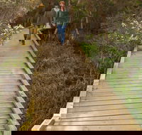 Balcombe Creek Estuary Boardwalk - Surfers Gold Coast