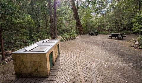 Biamanga Cultural Area (Mumbulla Creek Falls And Picnic Area) - Surfers Gold Coast 2