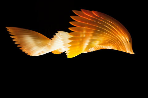 Bunjilaka Aboriginal Cultural Centre - Surfers Gold Coast 1