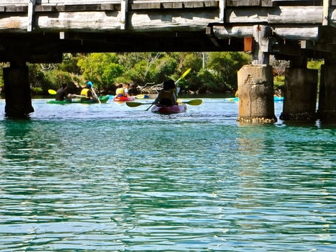 Byron Bay River Nature Kayak Tour - Surfers Gold Coast 1