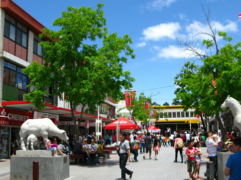 Cabramatta - Surfers Gold Coast 0