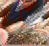 Capricorn Way - Surfers Gold Coast