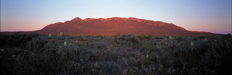 Cape Arid National Park - Surfers Gold Coast 2