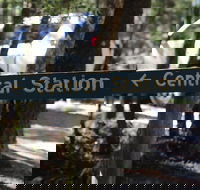 Central Station - Surfers Gold Coast