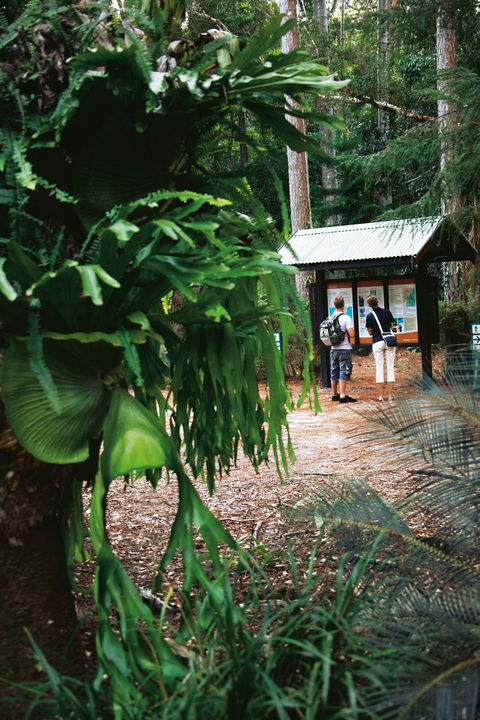 Central Station - Surfers Gold Coast 1