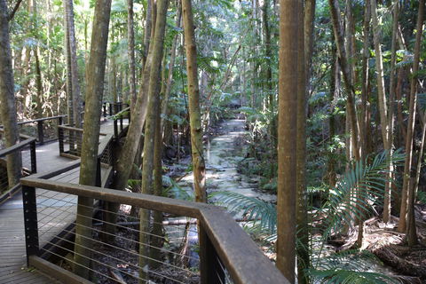 Central Station - Surfers Gold Coast 2