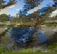 Cooleman Ridge - Surfers Gold Coast