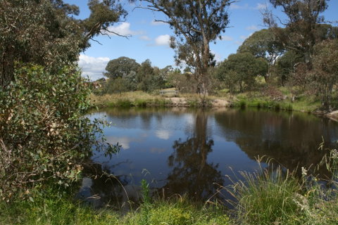 Cooleman Ridge - Surfers Gold Coast 0