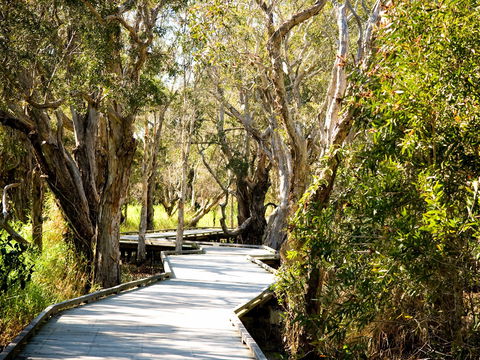 Eagleby Wetlands - Surfers Gold Coast 1