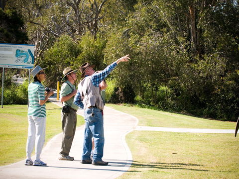Eagleby Wetlands - Surfers Gold Coast 2