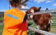 Farm Visit  Dungog - thumb 0