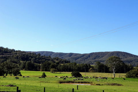 Farm Visit  Dungog - Surfers Gold Coast 1
