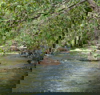 Florence Creek walk - Surfers Gold Coast