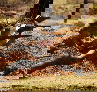 Freycinet Paintball and Campground - Surfers Gold Coast