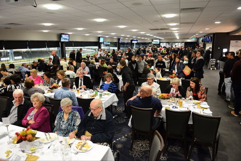 Geelong Greyhound Racing Club - The Beckley Centre - Surfers Gold Coast 1