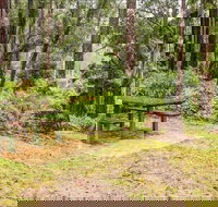 Goodenia Rainforest picnic area - Surfers Gold Coast