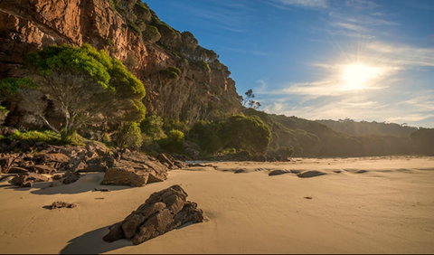 Greenglade Picnic Area - Surfers Gold Coast 0