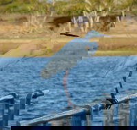 Groper Creek - Surfers Gold Coast