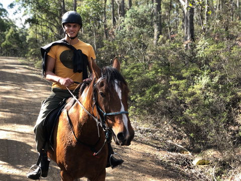 Horse Riding Tasmania - Surfers Gold Coast 2