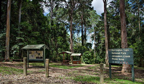 Jerusalem Creek Picnic Area - Surfers Gold Coast 0