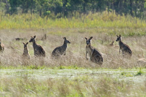 Kosciuszko National Park - Surfers Gold Coast 2