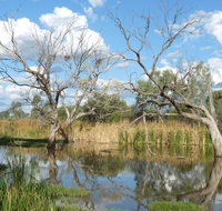 Lagoon Creek - Surfers Gold Coast