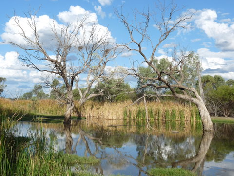 Lagoon Creek - Surfers Gold Coast 0