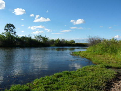 Lagoon Creek - Surfers Gold Coast 2