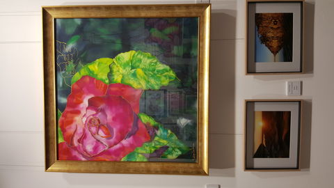 Macleay Valley Community Art Gallery - Surfers Gold Coast 0