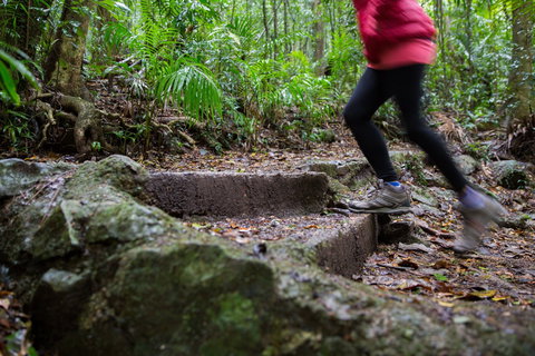 Maiala - Surfers Gold Coast 0