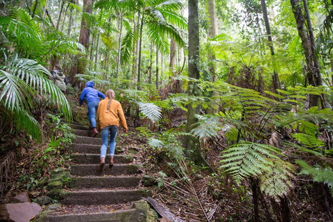 Maiala - Surfers Gold Coast 1