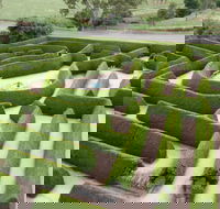 Mintaro Maze - Surfers Gold Coast