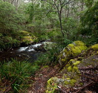 Mongarlowe River picnic area - Surfers Gold Coast