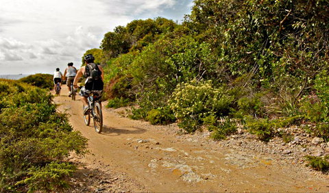 Mountain Biking Trails - Surfers Gold Coast 0